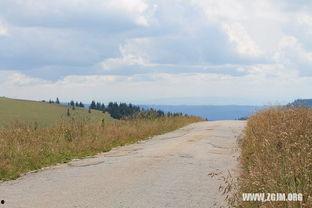梦见摘田瓜吃,揭秘摘田瓜吃的神秘寓意