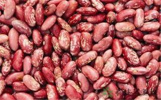 梗豆优马吃瓜,揭秘娱乐圈幕后真相