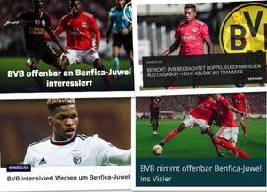 本菲卡今日头条,揭秘球队最新动态与精彩瞬间