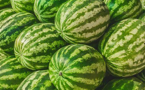 吃瓜到哪里去吃,吃瓜之旅的美食地图