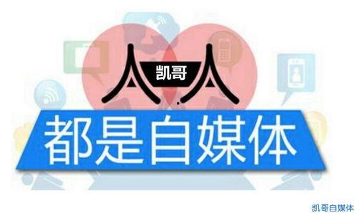 头条自媒体领域指哪些,热门话题与创作趋势深度解析