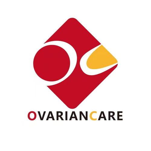 达康明星,闪耀舞台的璀璨星辰