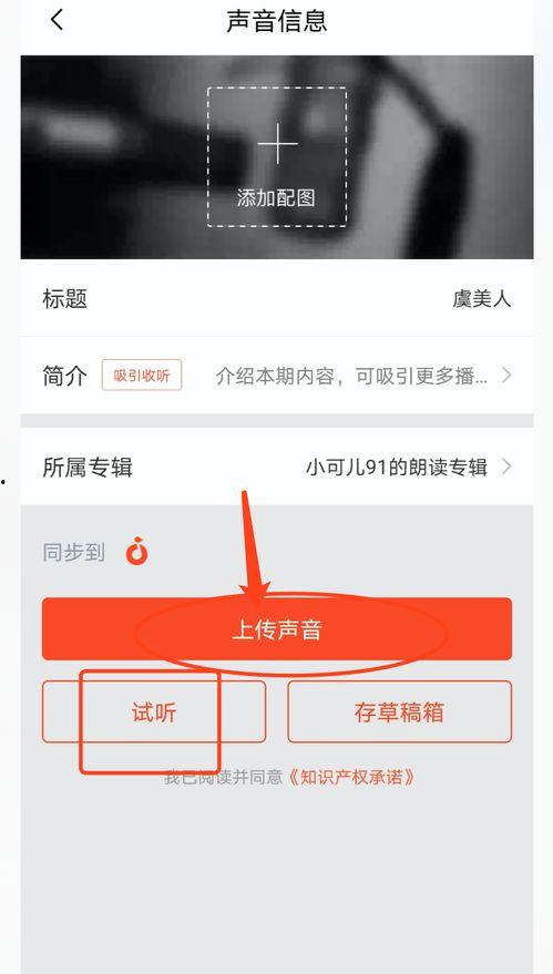 头条上的音频怎么下,揭秘头条热门话题背后的深度解读