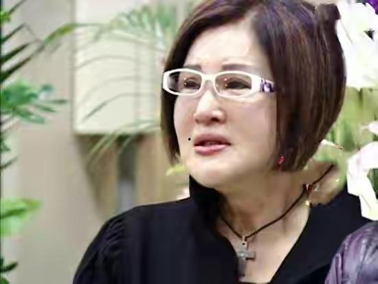 明星大恬恬,闪耀舞台，魅力四射的璀璨之星