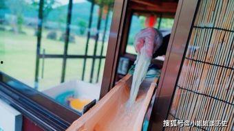 网红国产中出流水