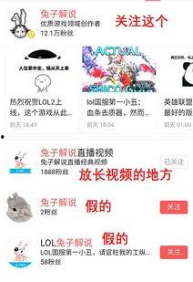 西瓜视频关注和头条关注,揭秘热门内容背后的关注密码