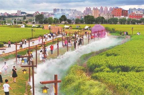 泉州市泉湖区新闻头条,泉州市泉湖区突发事件引发关注，详情揭晓